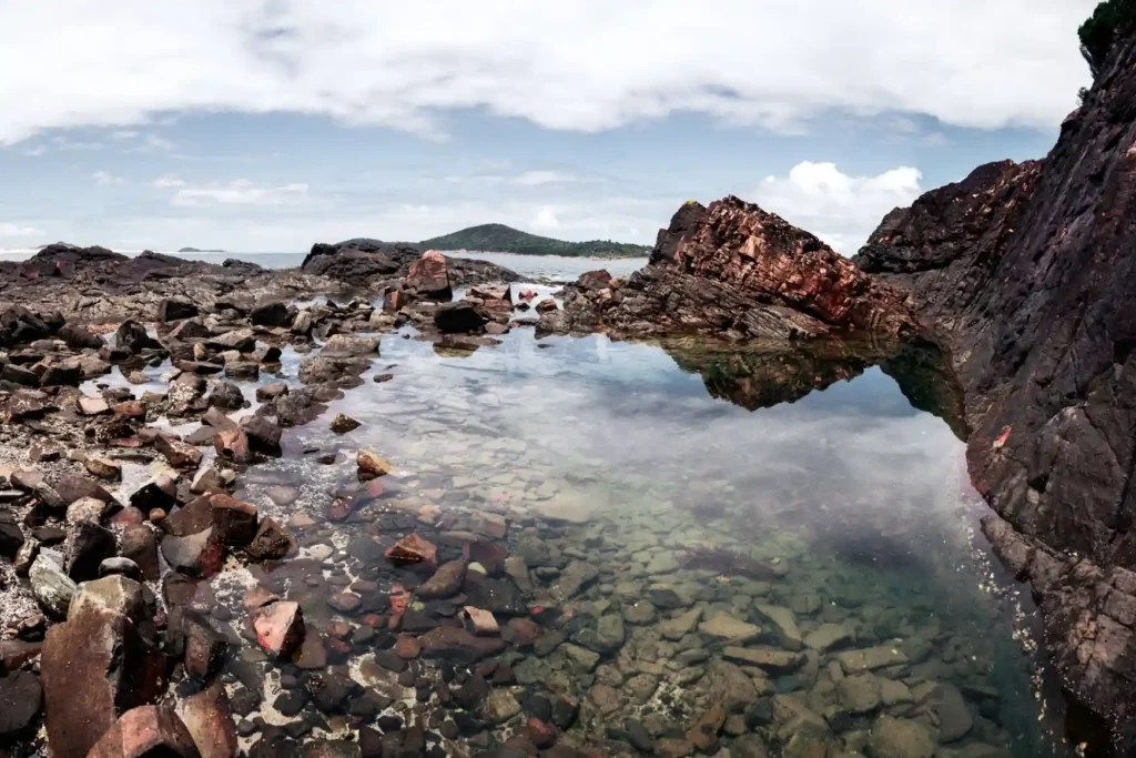 Rocky tide pool with clear water along a coastal shoreline. 