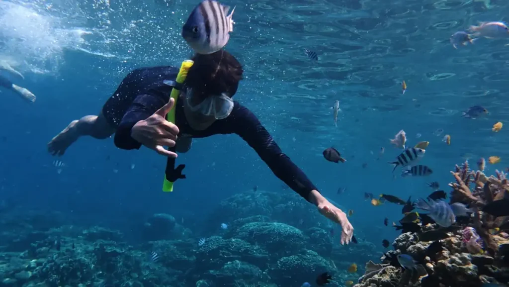 Snorkeler exploring a coral reef surrounded by colorful tropical fish in clear ocean water.