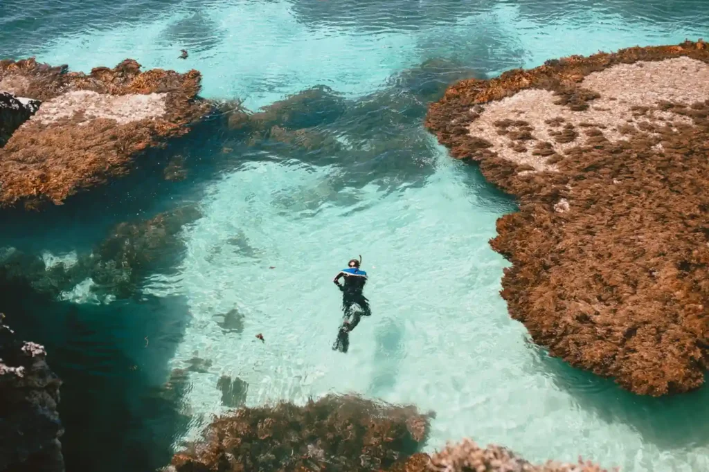 Snorkeler in a clear rocky tidal pool