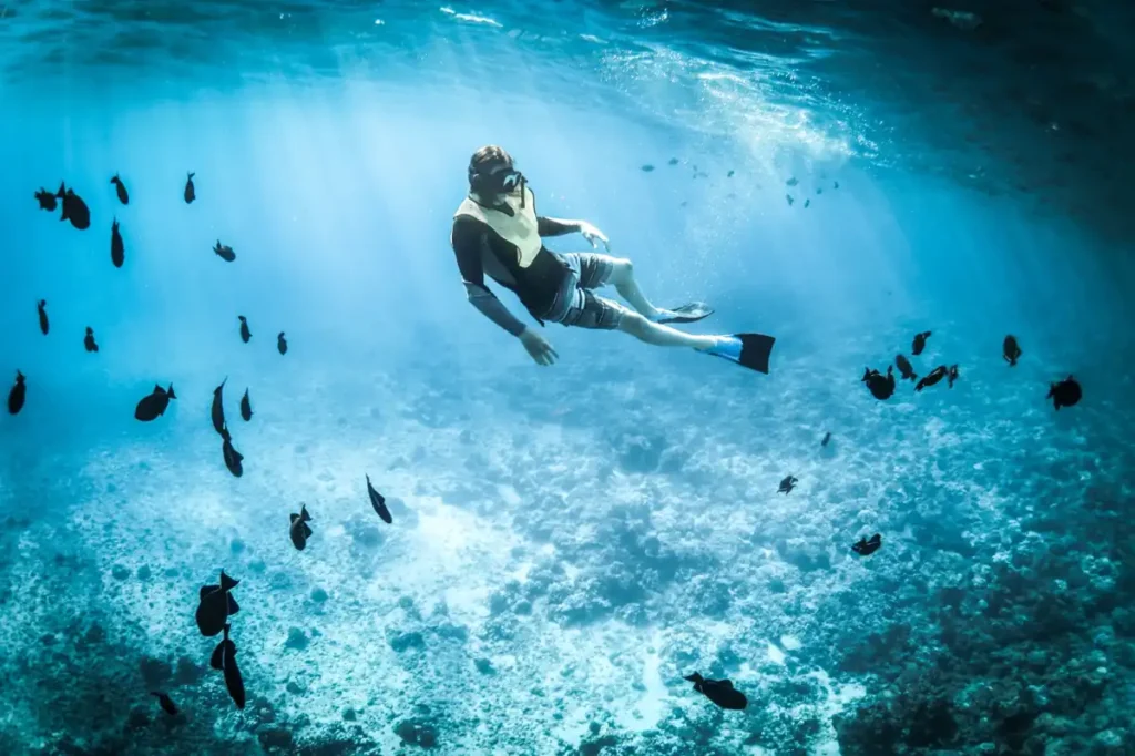 Snorkeler swimming above a coral reef surrounded by tropical fish in clear blue water.