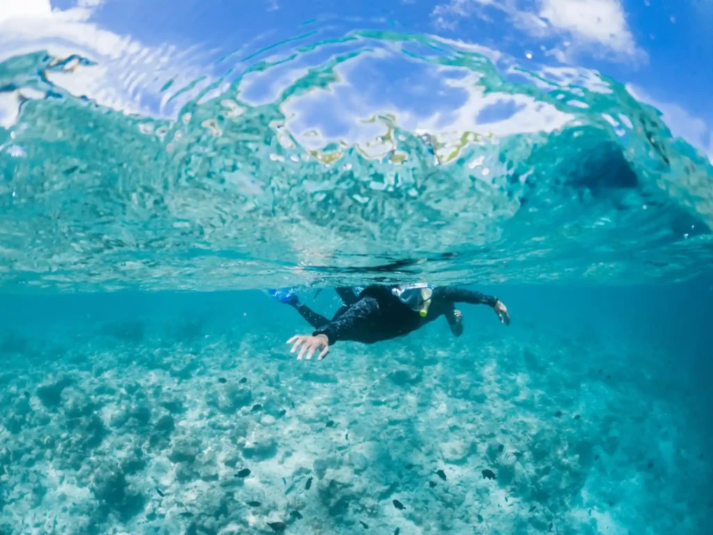 Snorkeler swimming underwater in clear turquoise water above coral and small tropical fish. 