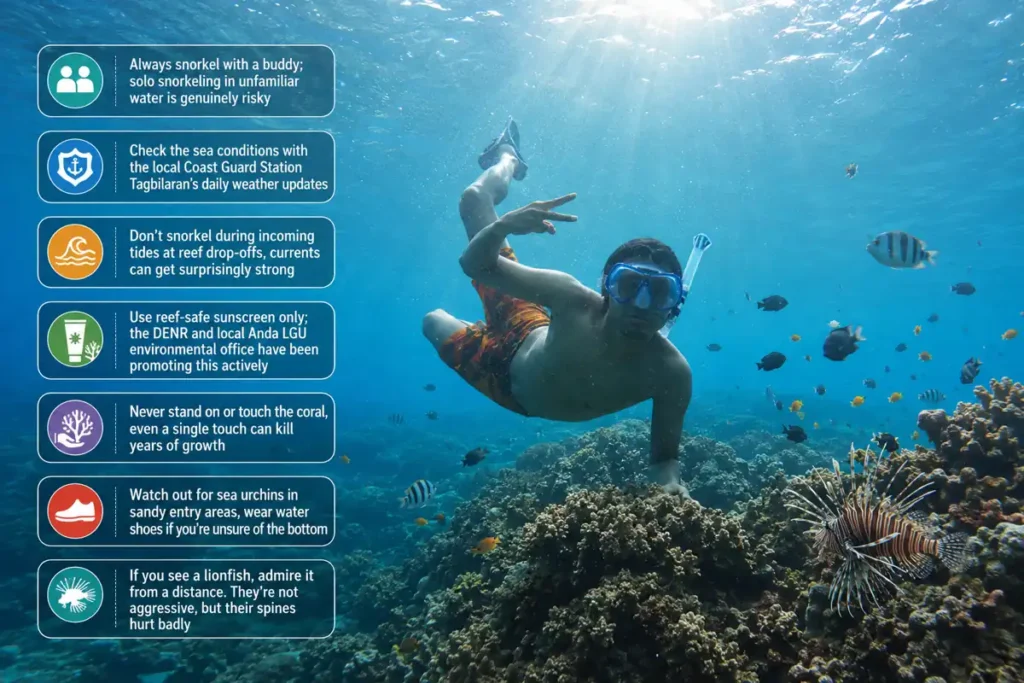 Underwater snorkeling safety infographic with icons showing reef protection, sea conditions, buddy system, and marine life awareness.