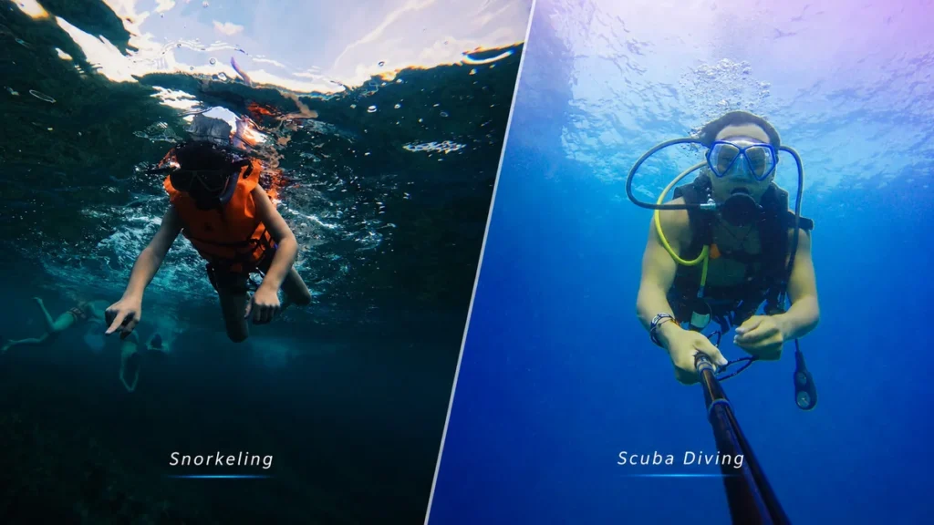 Split underwater comparison image showing snorkeling near the surface on one side and scuba diving in deeper blue water on the other.