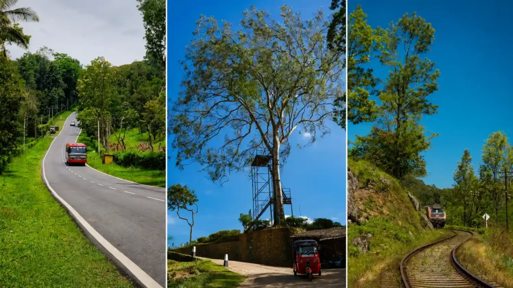 Landscape collage showing a Sri Lankan road with a bus, a red tuk-tuk near a tall tree, and a train route through green hills.