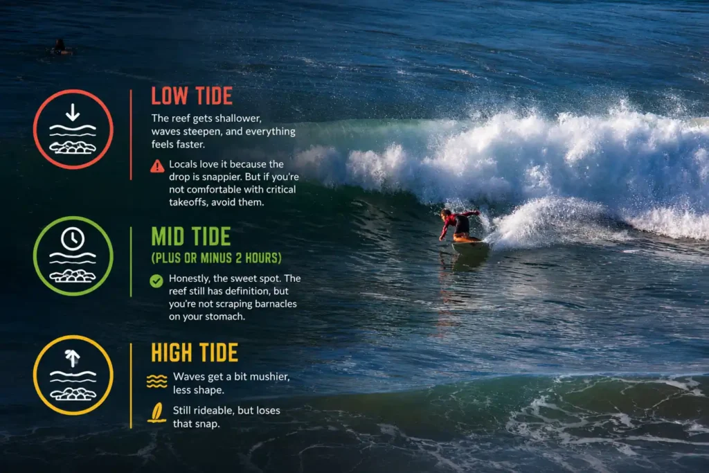 Surf tide guide infographic showing low, mid, and high tide conditions beside a surfer riding a wave.