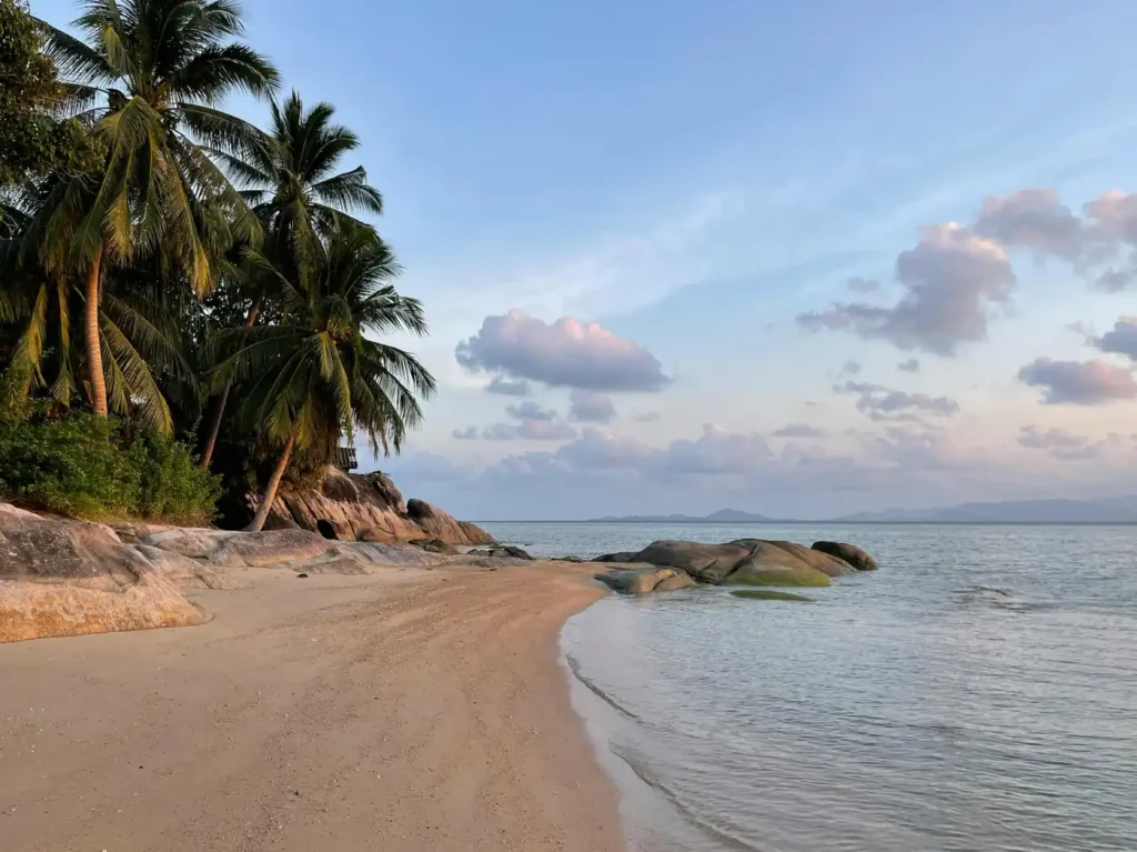 Quiet tropical beach with palm trees, smooth rocks, calm sea water, and soft evening clouds.