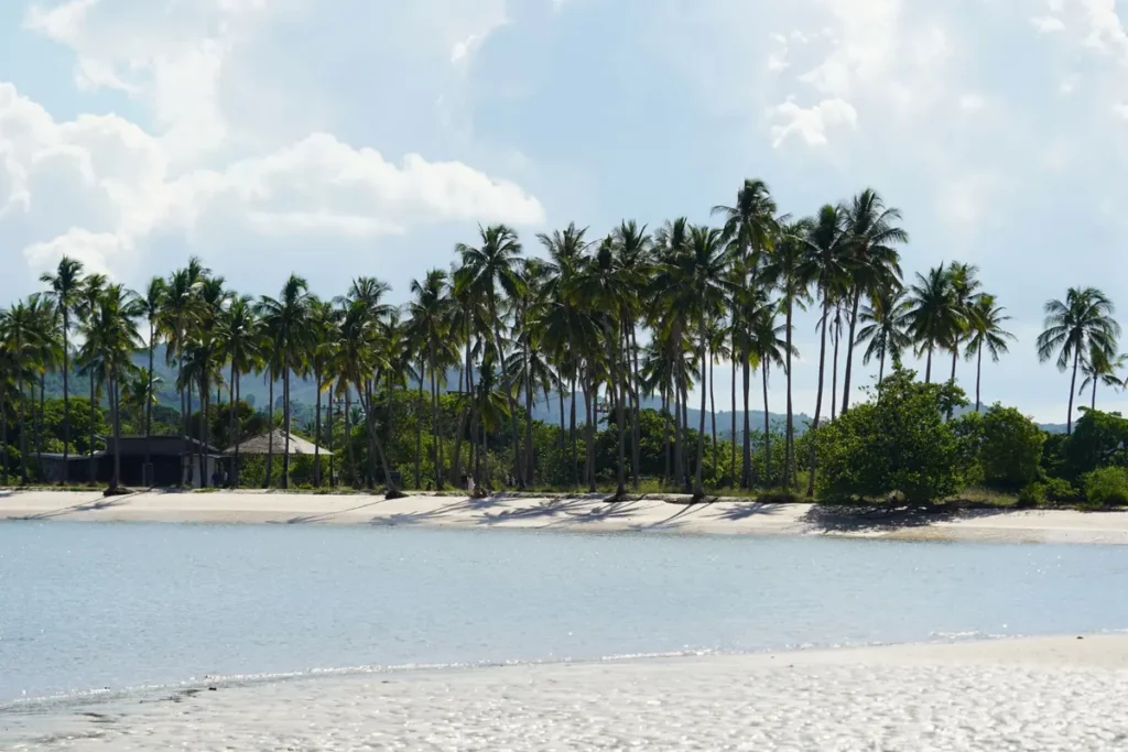 Quiet tropical beach with shallow blue water, white sand, tall coconut palms, and lush greenery under a bright cloudy sky.