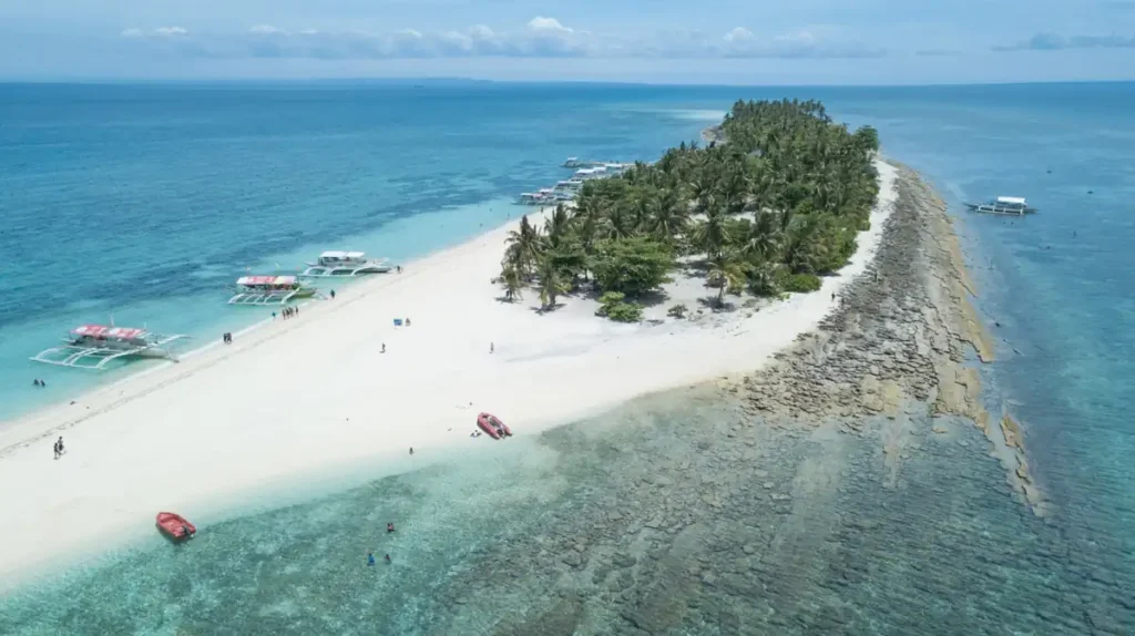 Aerial view of a tropical sandbar with white sand, palm trees, and crystal-clear turquoise waters.
