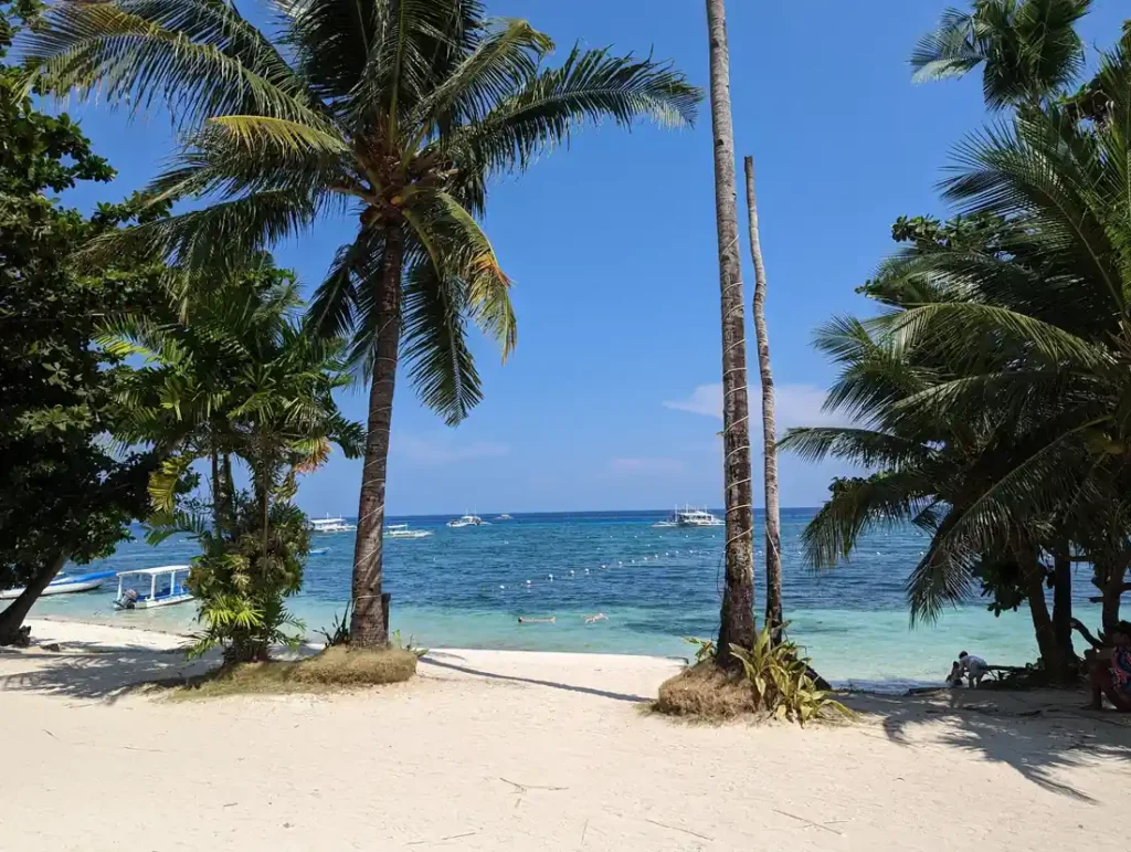Palm trees framing a tropical beach with clear blue water and boats offshore.