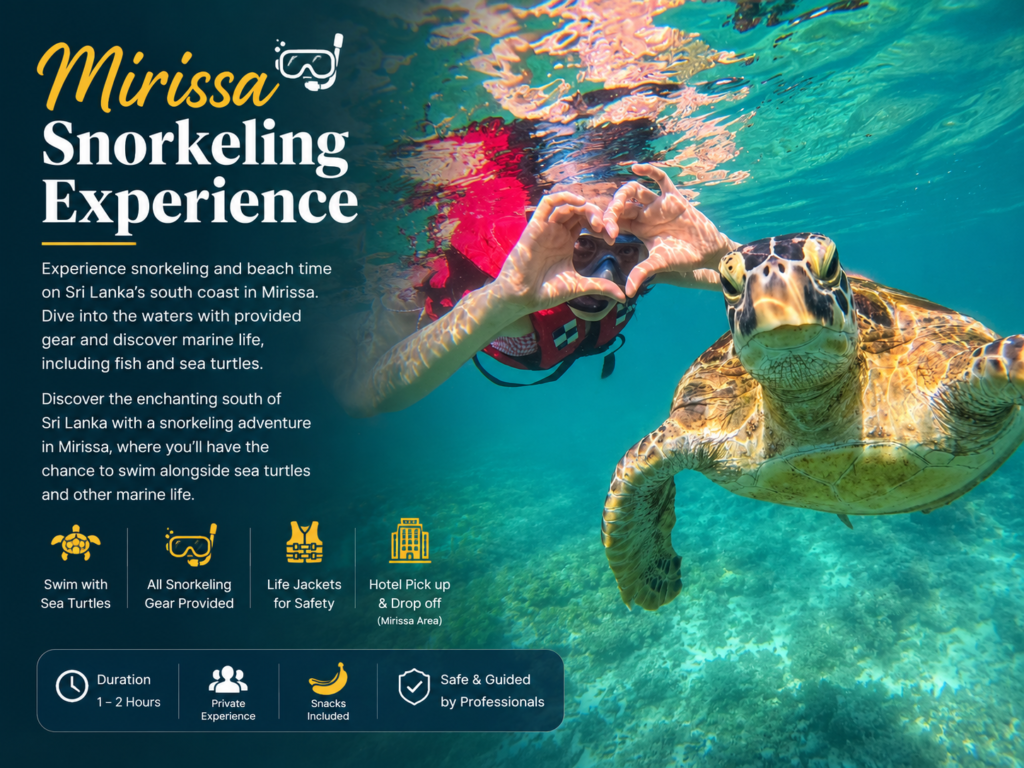 Traveler snorkeling with a sea turtle in Mirissa.