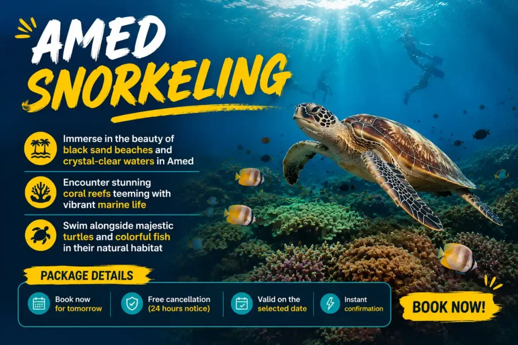 Amed snorkeling with sea turtle