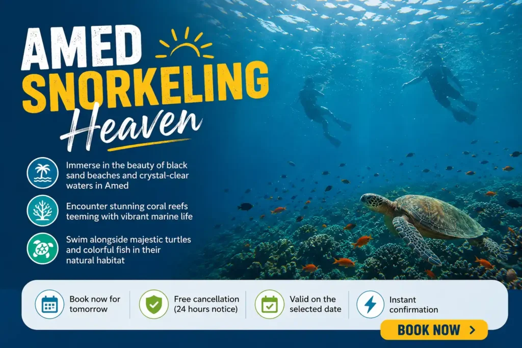 Amed snorkeling tour poster