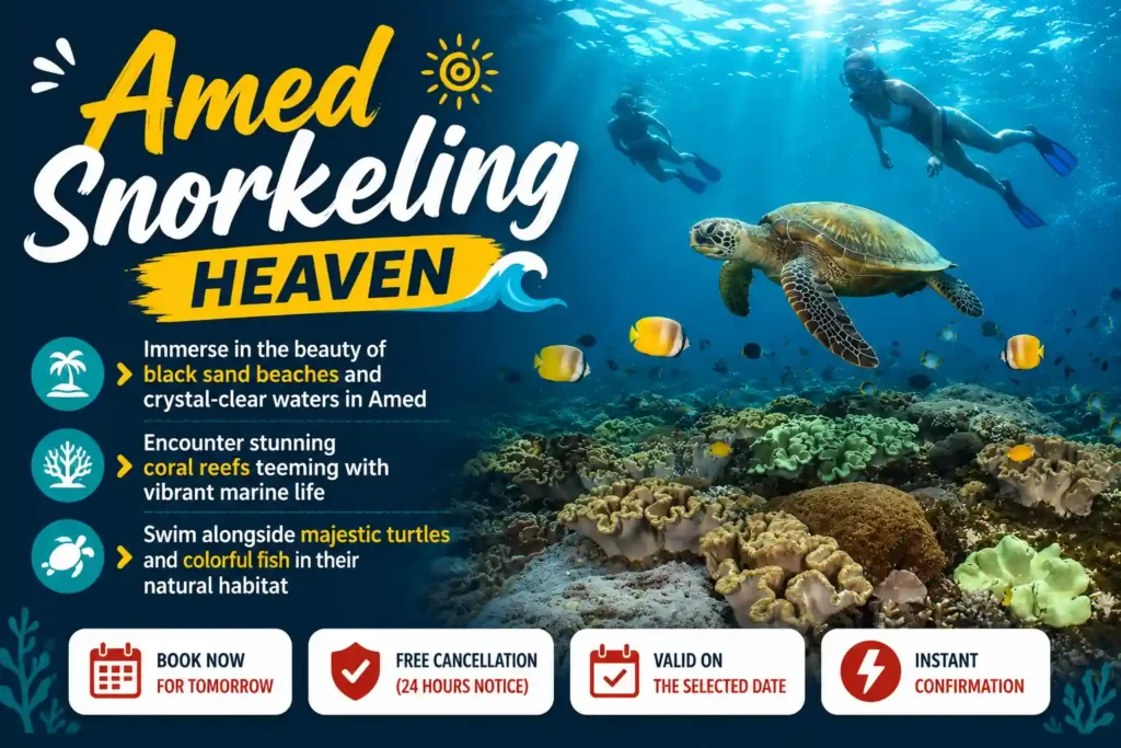 Amed Snorkeling Heaven infographic