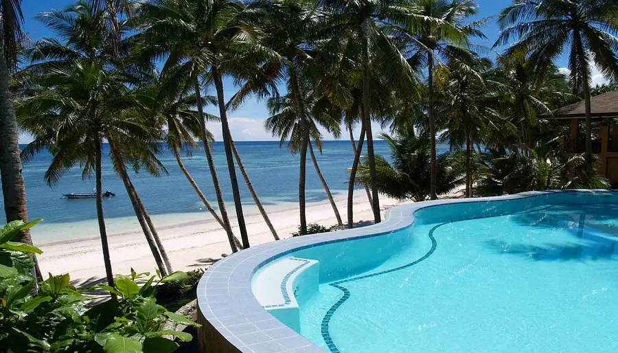 Beachfront infinity pool with palm trees and white sand beach