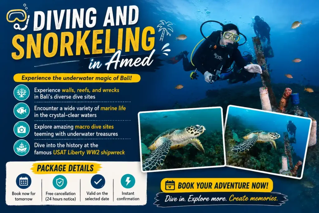 Amed diving and snorkeling 