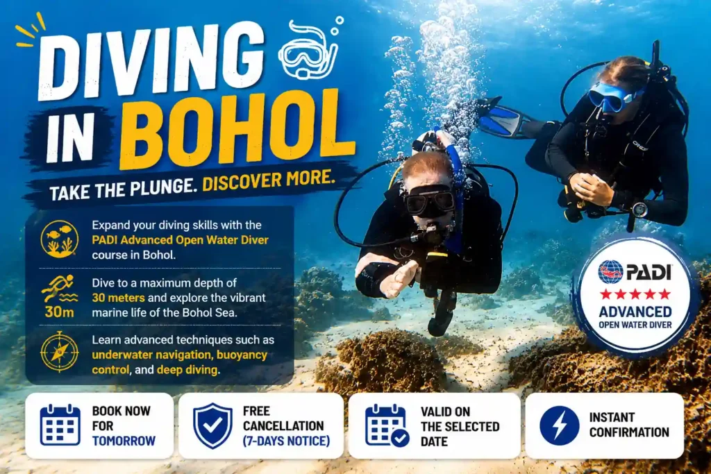 Bohol diving adventure banner