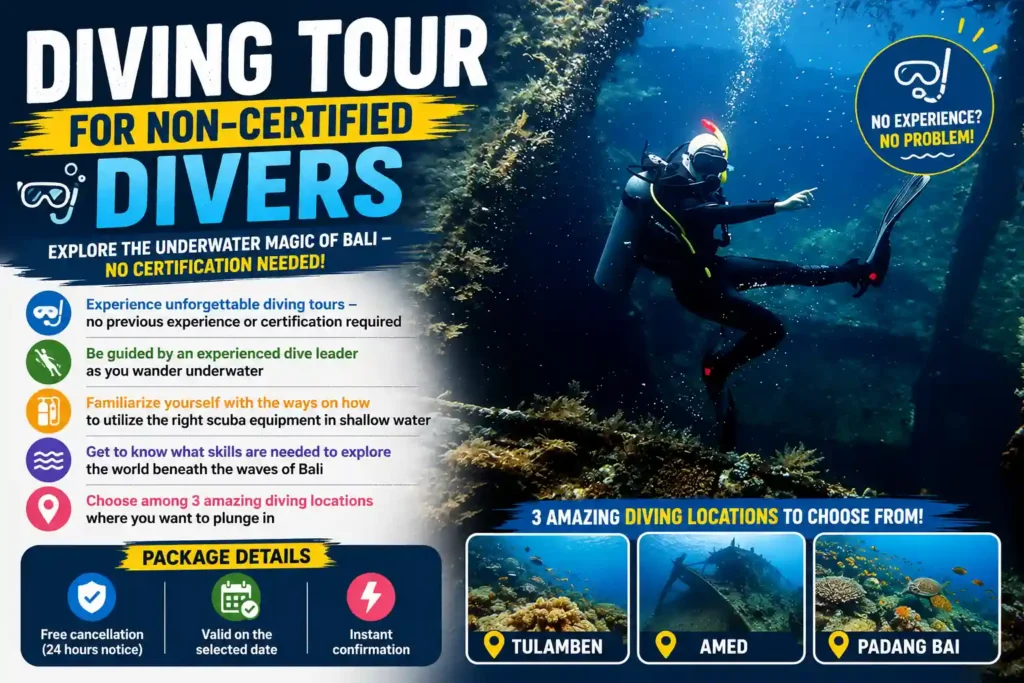 Diving tour for non-certified divers in Bali. 