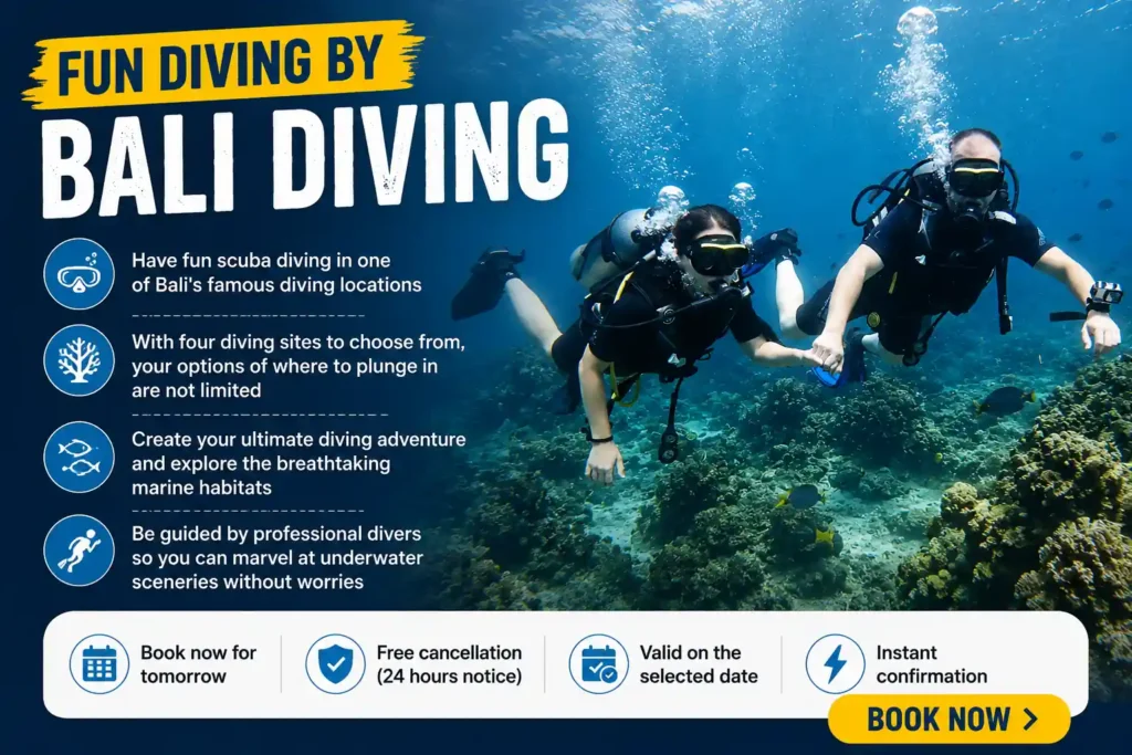 Fun Diving by Bali Diving poster 