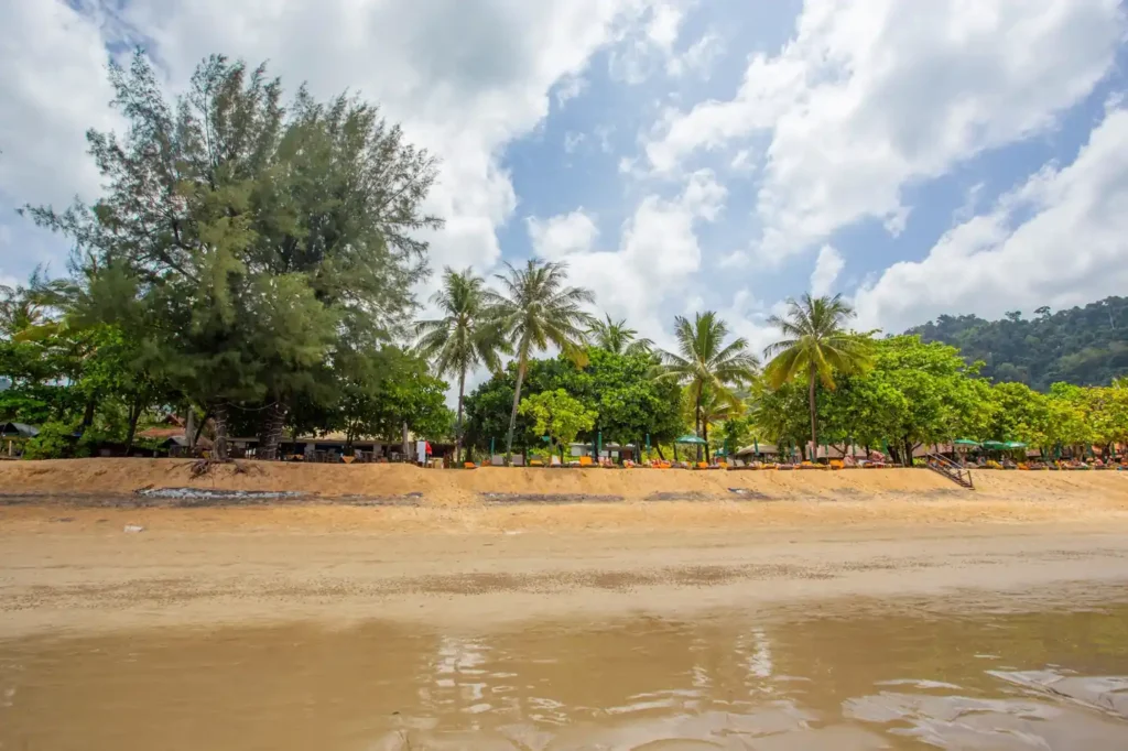 Peaceful Koh Chang beach with palm trees and a sandy shoreline. 