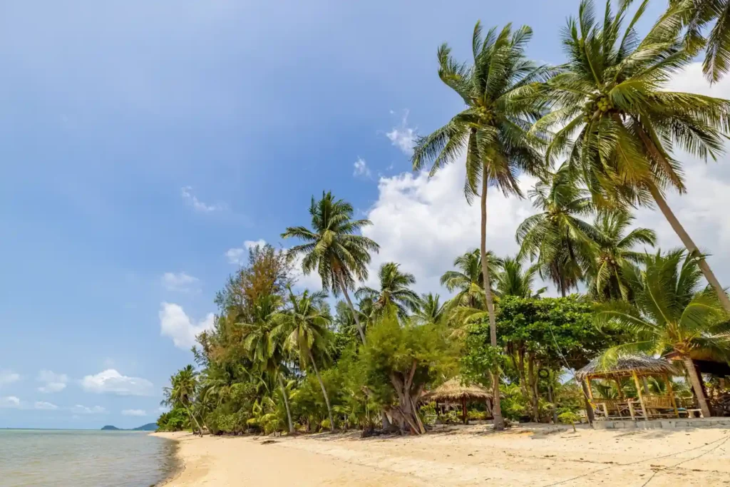 Palm-lined tropical beach on Koh Chang with clear blue sky.