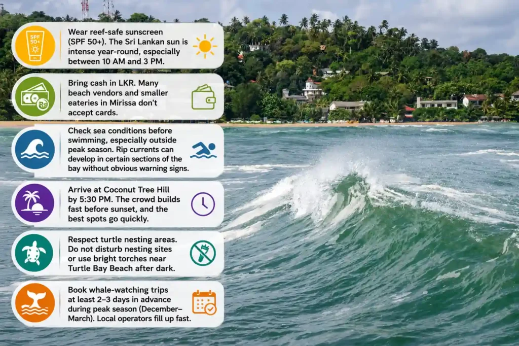 Mirissa travel tips infographic with beach safety, whale watching, and local advice icons. 