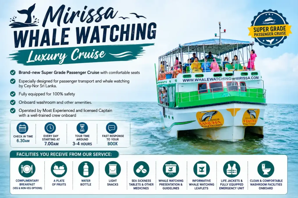 Mirissa Whale Watching Luxury Cruise with premium facilities and onboard amenities.