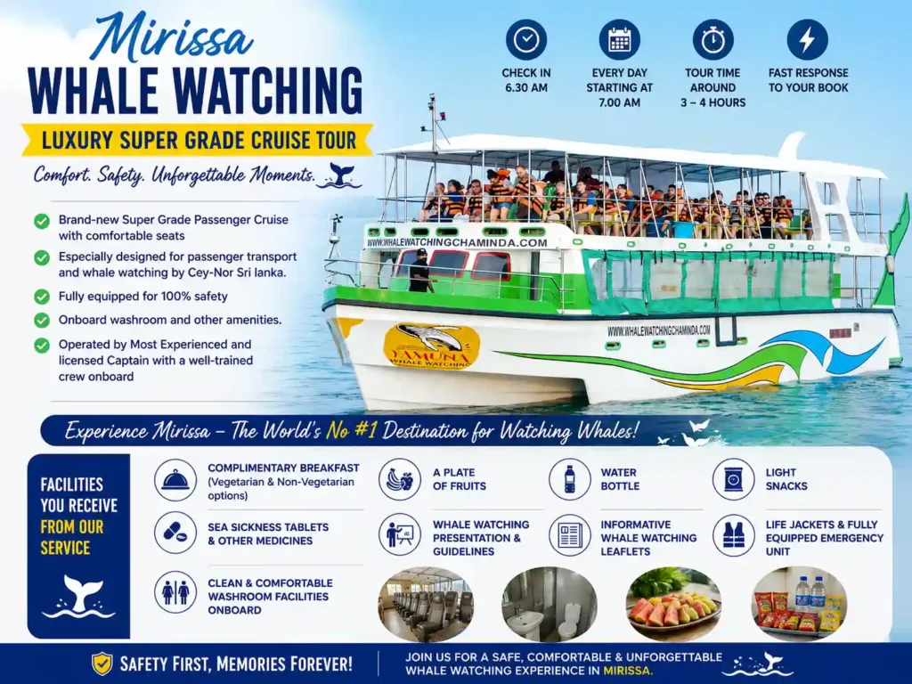Luxury whale watching cruise boat in Mirissa, Sri Lanka