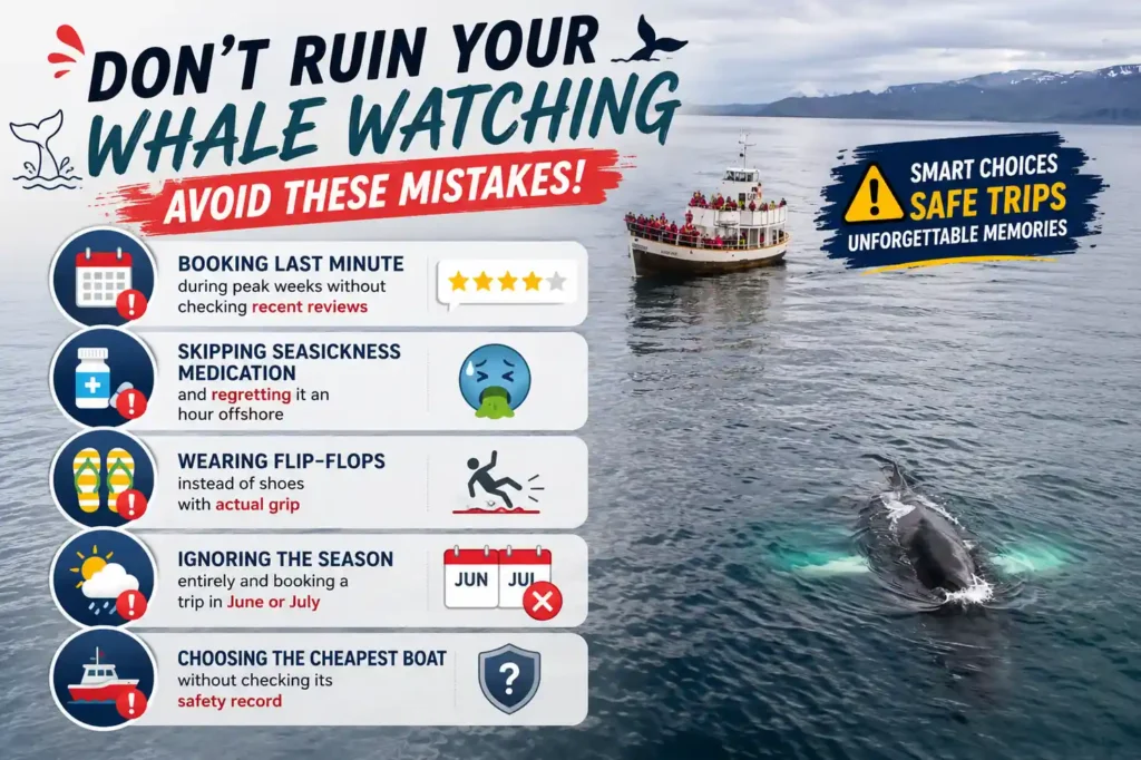 Common mistakes to avoid before booking a whale watching tour in Mirissa.