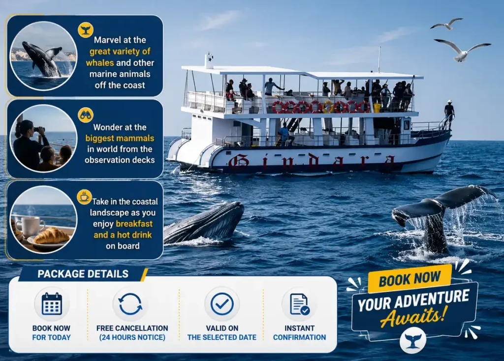 Whale watching tour boat in Mirissa with package highlights and booking details.