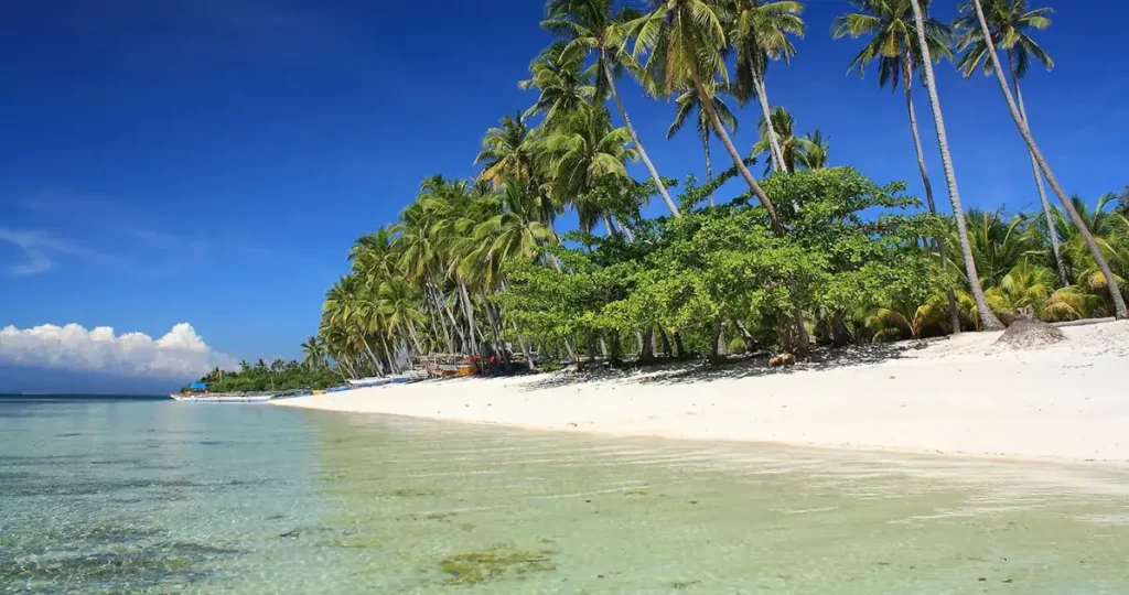 Paliton Beach Siquijor shorelin