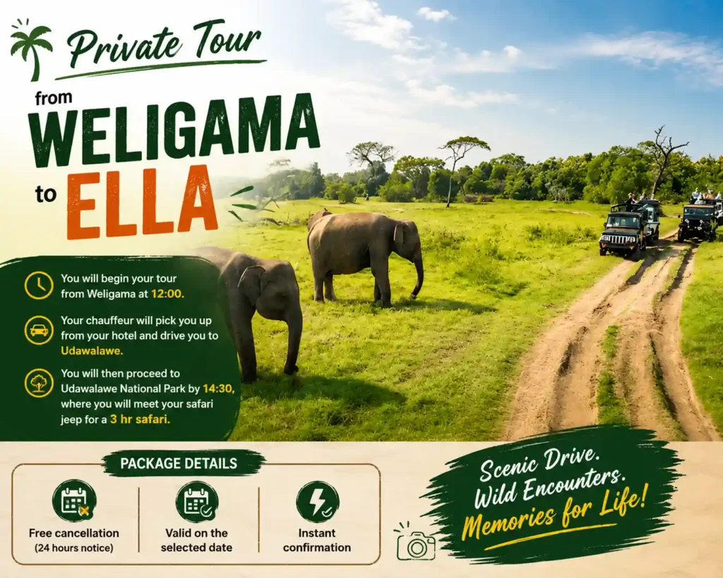 Private tour from Weligama to Ella with Udawalawe safari
