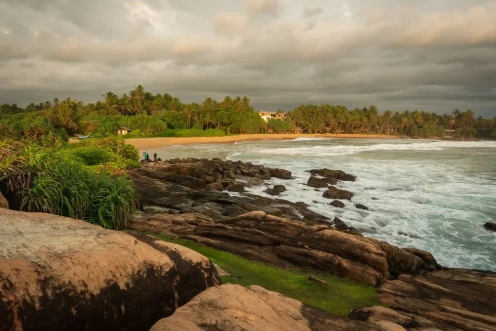 Rocky tropical beach with waves and palm trees at sunset. 