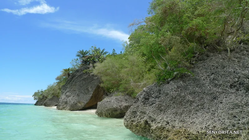 Siquijor rocky coastline 