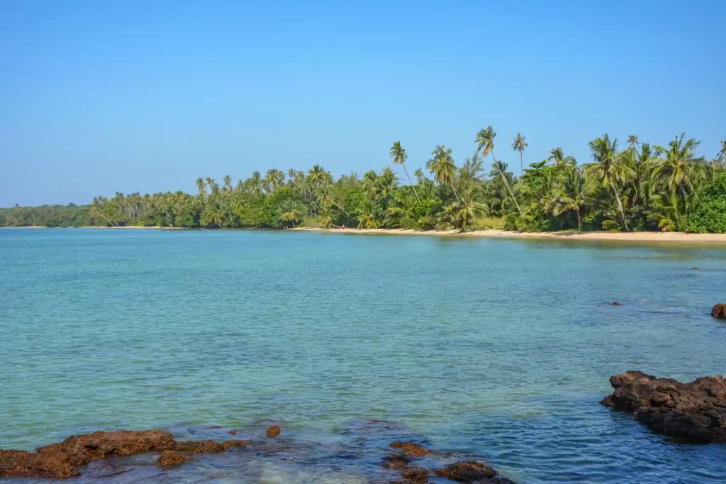 Tropical palm-lined beach with calm blue water.