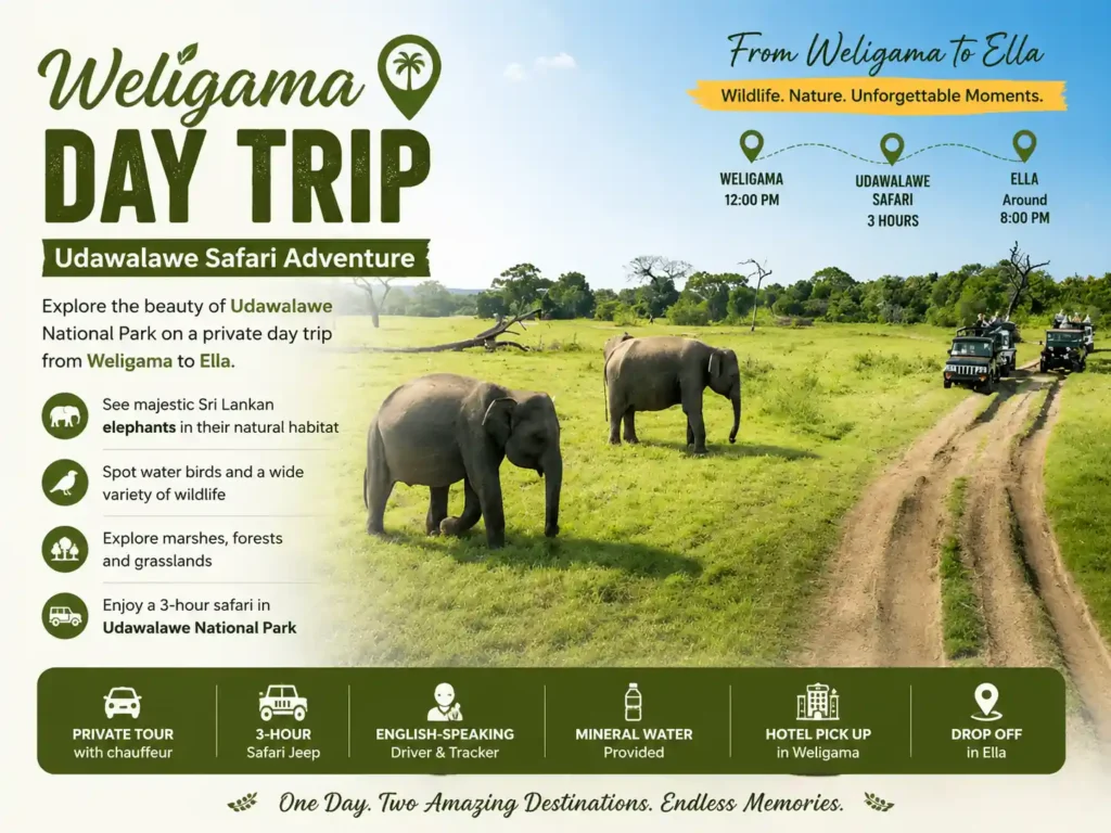 Weligama day trip to Udawalawe Safari with elephant wildlife experience.