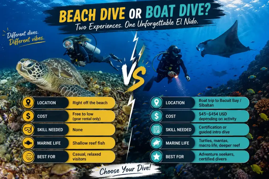 Nacpan Beach dive comparison