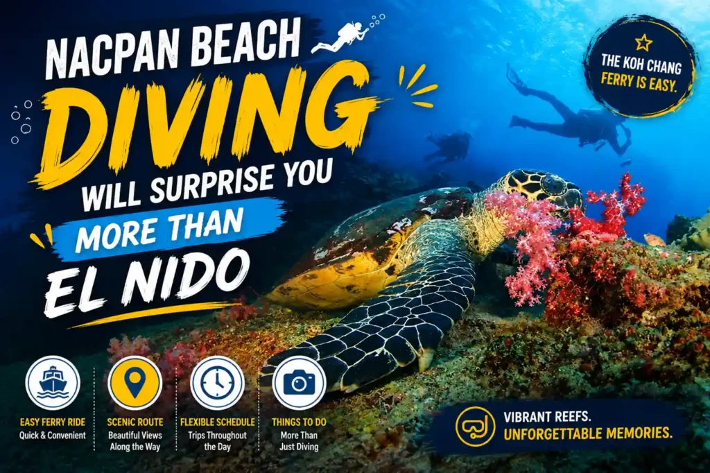 Nacpan Beach diving