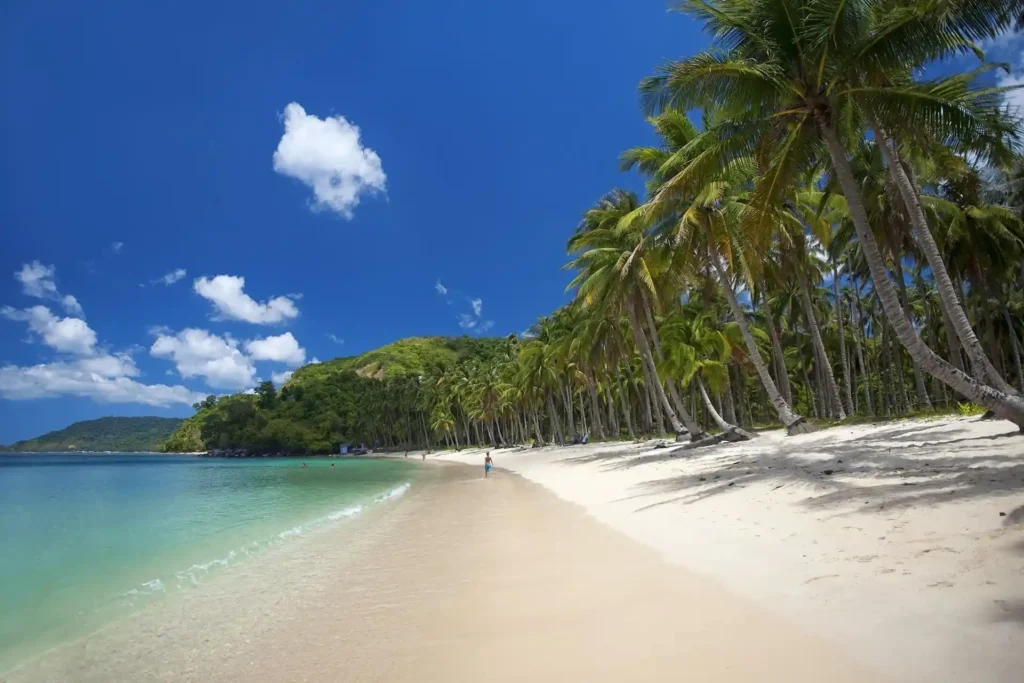 Nacpan Beach palm shoreline