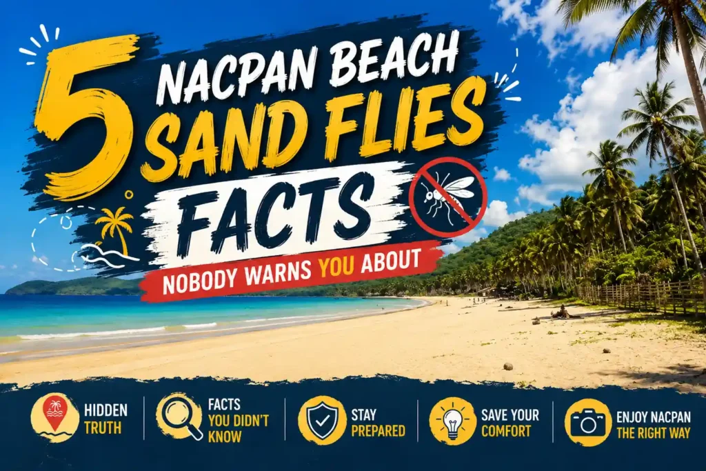 Nacpan Beach sand flies