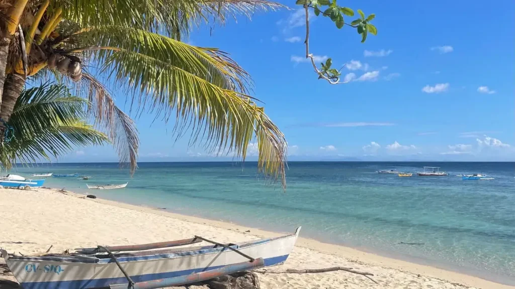 Siquijor palm beach view