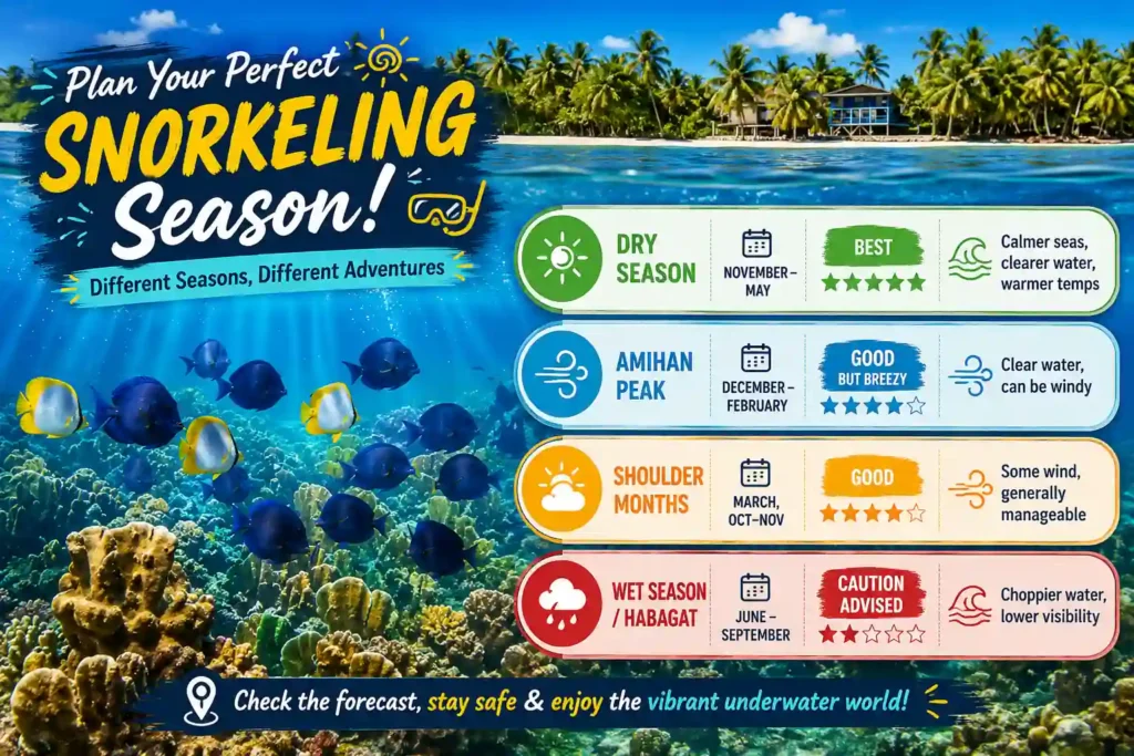 Nacpan Beach snorkeling season
