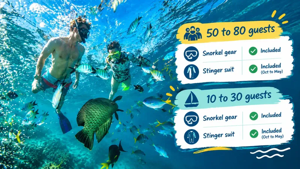 Whitehaven Beach snorkeling tour comparison 