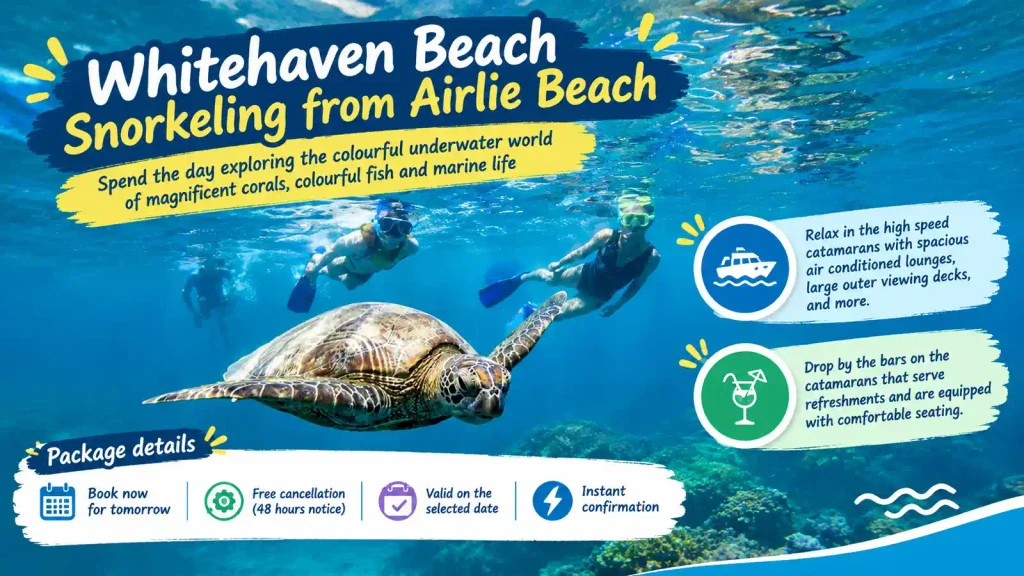 Whitehaven Beach snorkeling tour