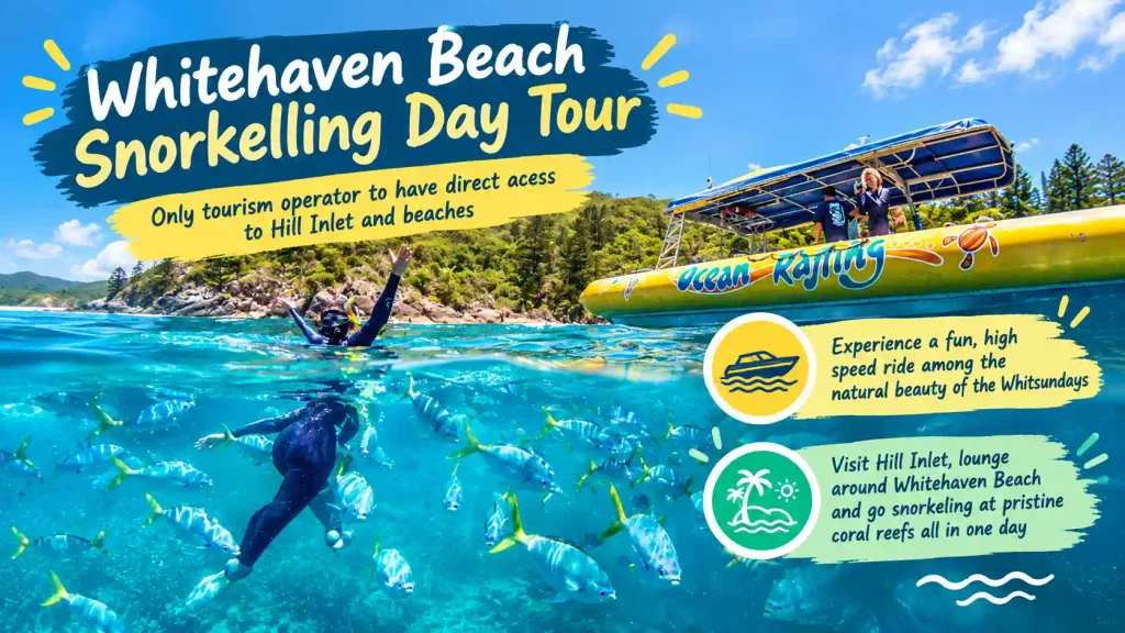 Whitehaven Beach snorkelling day tour.