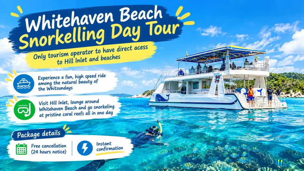 Whitehaven Beach snorkeling tour