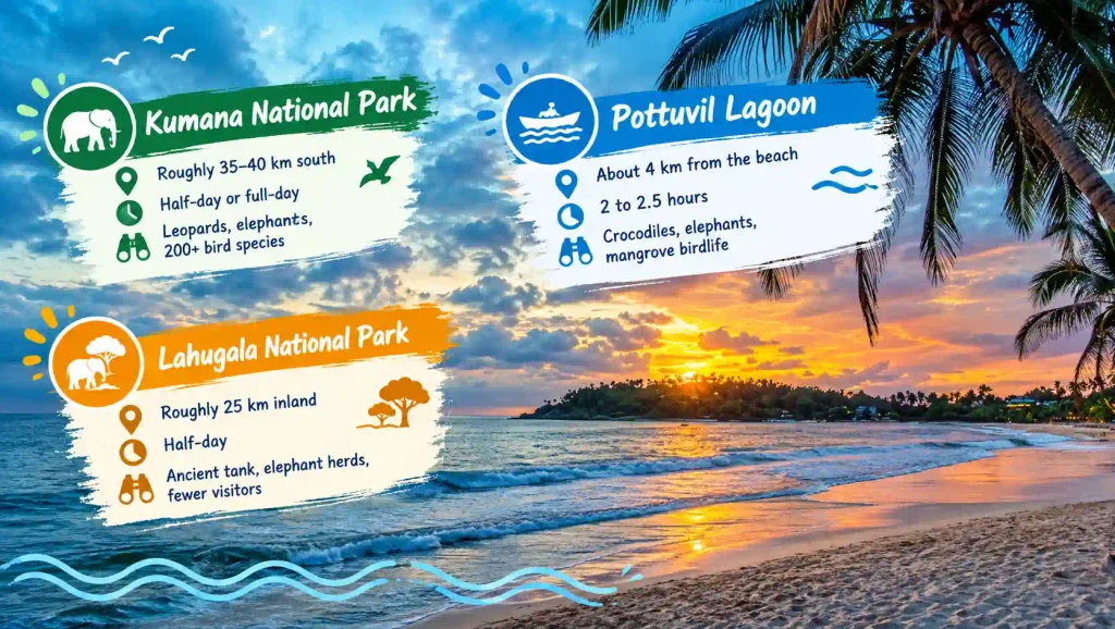 Arugam Bay day trips guide 