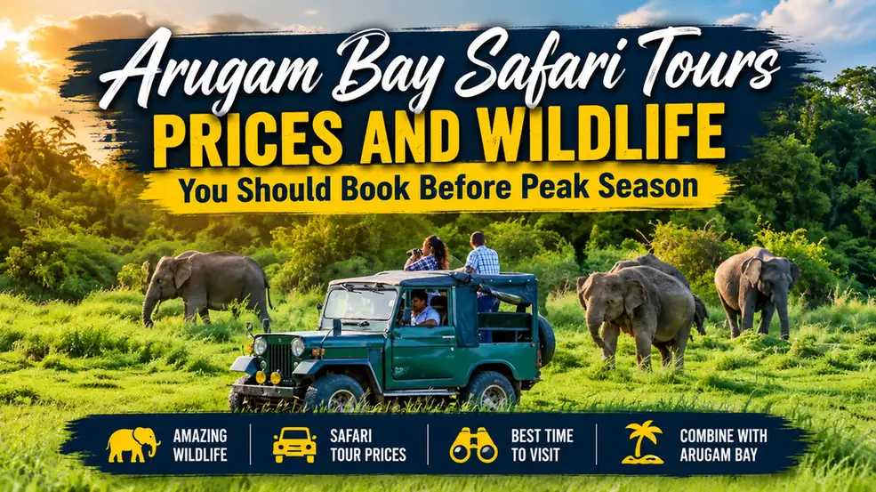 Arugam Bay safari jeep with elephants in Sri Lanka