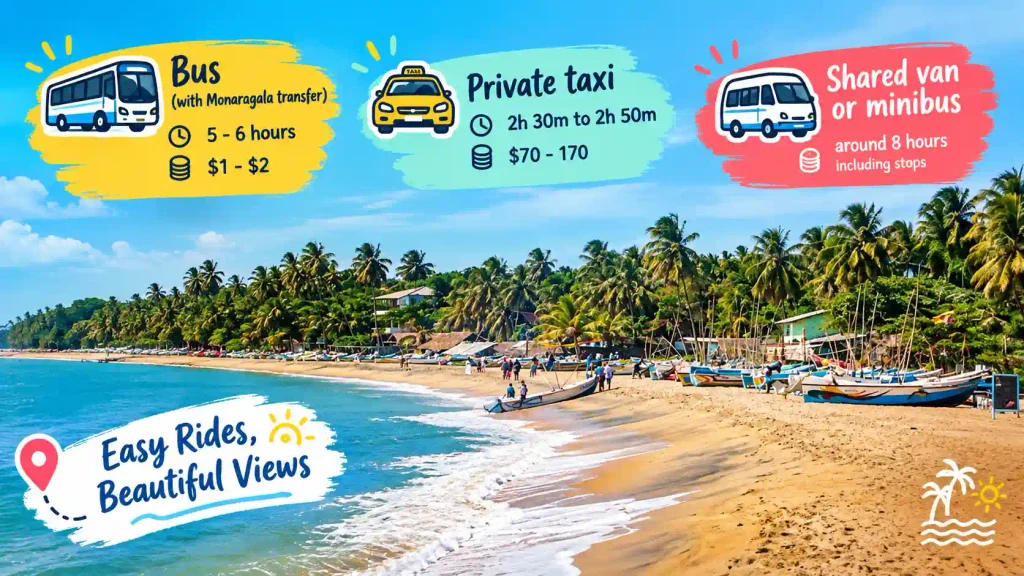 Beach transport options infographic. 