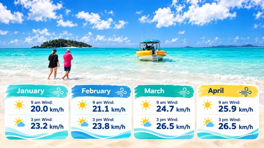 Tropical beach wind forecast infographic