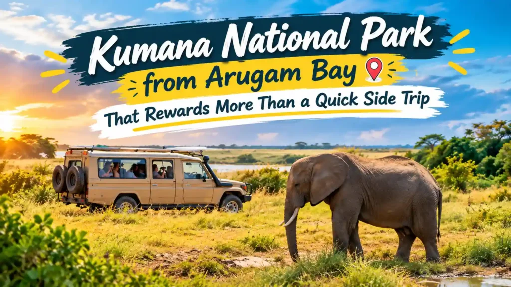 Kumana National Park safari